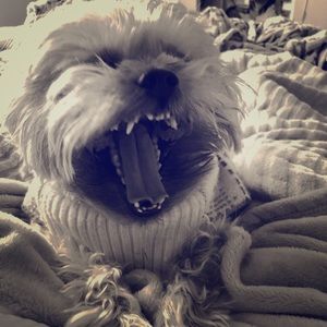 **CLOSET CLOSING 2/22 SALE** Make an Offer! 🤘🏻